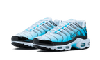 Nike Air Max Plus Baltic Blue (FD9751-100) | TheSneakerWay