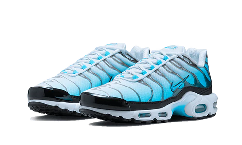 Nike Air Max Plus Baltic Blue (FD9751-100) | TheSneakerWay