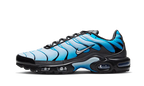 Nike Air Max Plus Blue Gradient (FQ0204-010) | TheSneakerWay