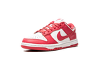 Nike Dunk Low Archeo Pink (Women's) (DD1503-111) | TheSneakerWay