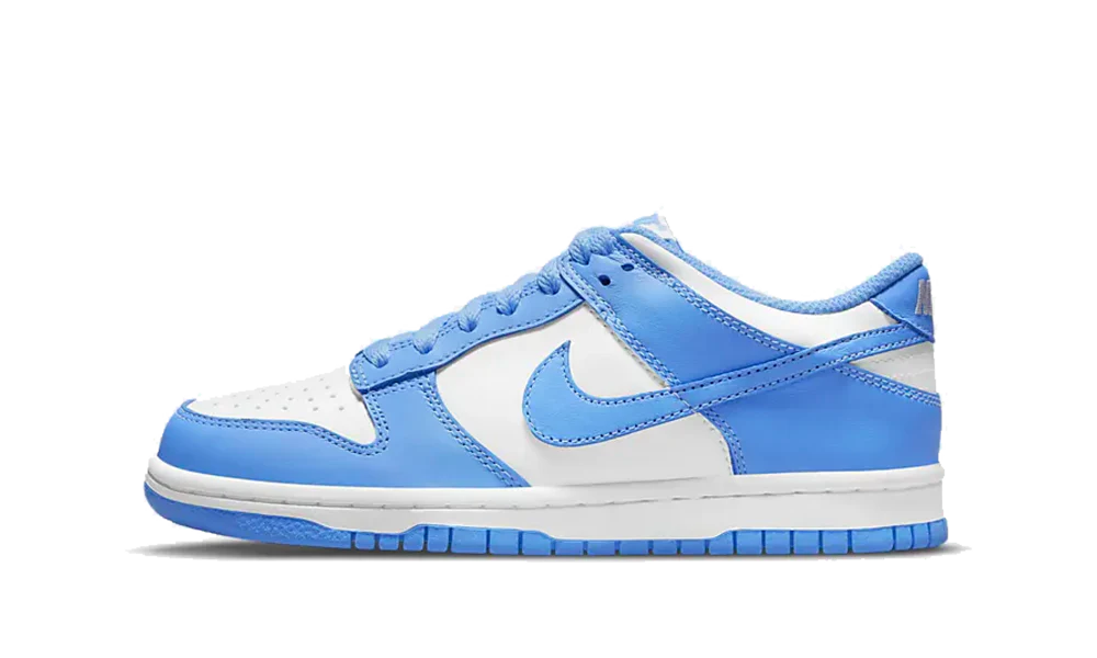 Nike Dunk Low UNC (GS)