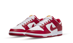 Nike Dunk Low USC (DD1391-602) | TheSneakerWay