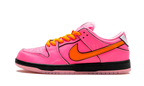 Nike SB Dunk Low The Powerpuff Girls Blossom (FD2631-600) | TheSneakerWay